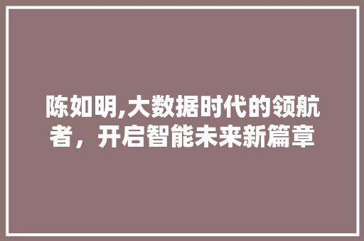 陈如明,大数据时代的领航者，开启智能未来新篇章 百度SEO