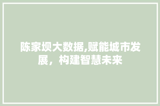 陈家坝大数据,赋能城市发展，构建智慧未来