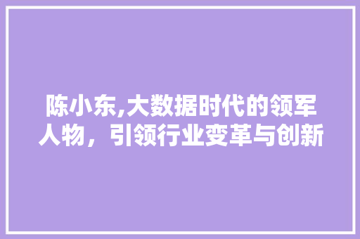 陈小东,大数据时代的领军人物，引领行业变革与创新 百度SEO