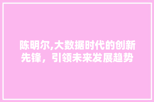 陈明尔,大数据时代的创新先锋，引领未来发展趋势 百度SEO