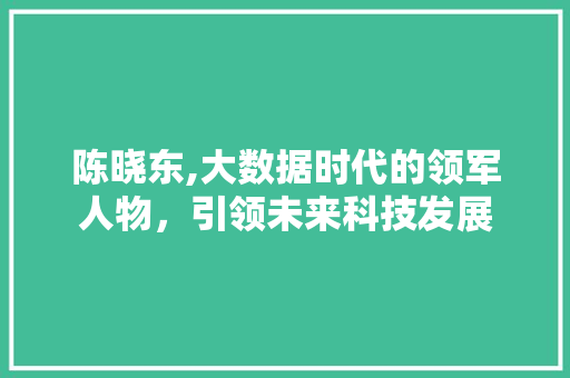 陈晓东,大数据时代的领军人物，引领未来科技发展