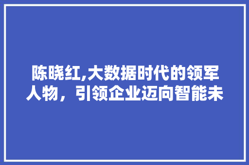 陈晓红,大数据时代的领军人物，引领企业迈向智能未来 百度SEO