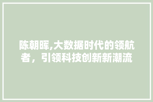陈朝晖,大数据时代的领航者，引领科技创新新潮流