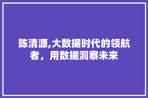 陈清源,大数据时代的领航者，用数据洞察未来