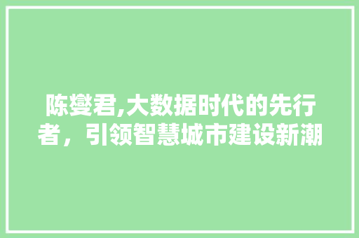 陈燮君,大数据时代的先行者，引领智慧城市建设新潮流