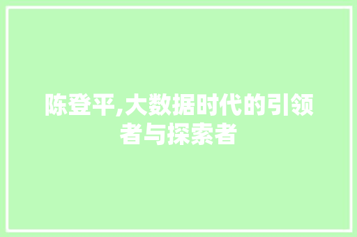 陈登平,大数据时代的引领者与探索者