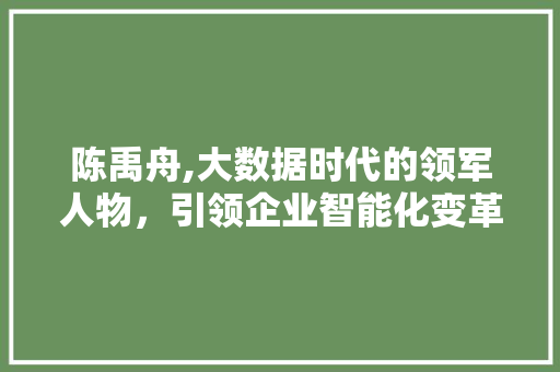 陈禹舟,大数据时代的领军人物，引领企业智能化变革 百度SEO