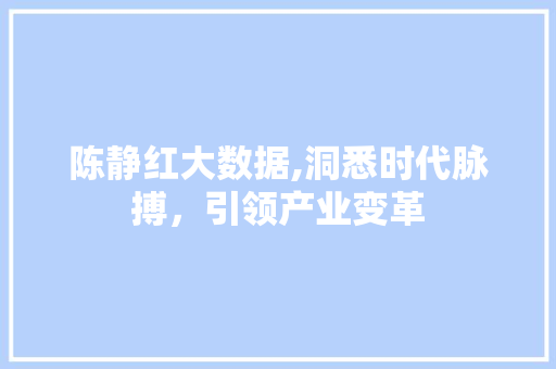 陈静红大数据,洞悉时代脉搏，引领产业变革 GoogleSEO