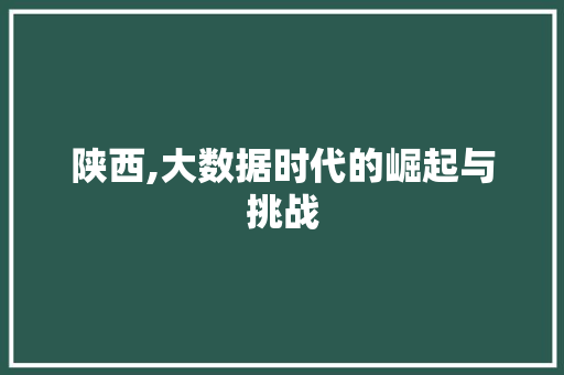 陕西,大数据时代的崛起与挑战