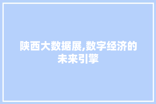 陕西大数据展,数字经济的未来引擎