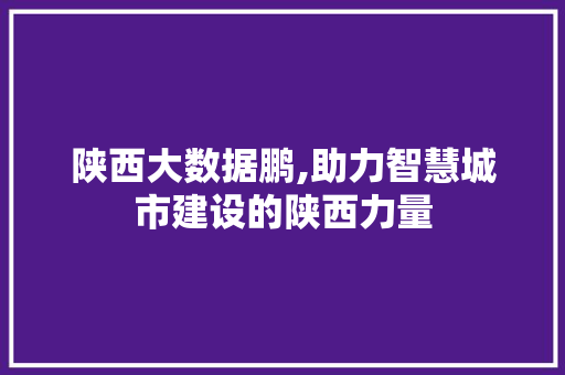 陕西大数据鹏,助力智慧城市建设的陕西力量