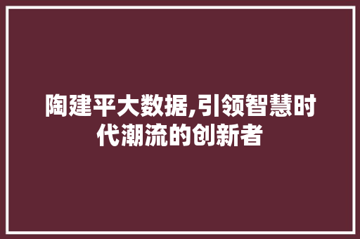 陶建平大数据,引领智慧时代潮流的创新者