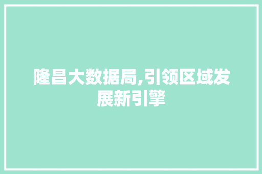隆昌大数据局,引领区域发展新引擎 百度SEO