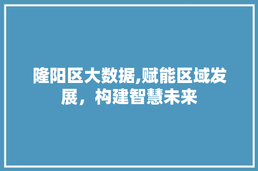 隆阳区大数据,赋能区域发展，构建智慧未来