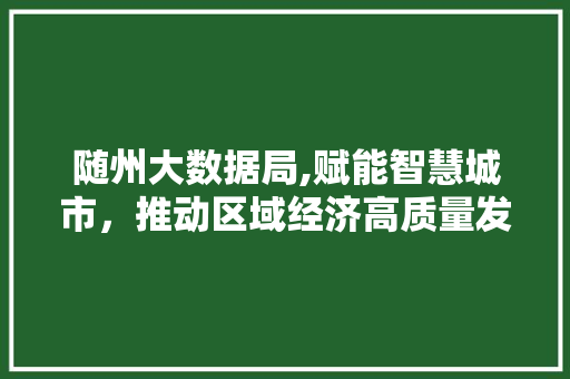 随州大数据局,赋能智慧城市，推动区域经济高质量发展 搜狗SEO