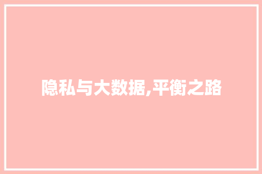 隐私与大数据,平衡之路 百度SEO