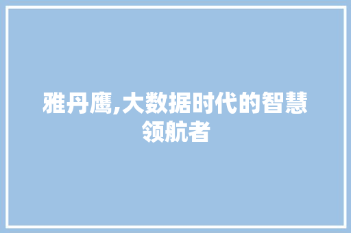 雅丹鹰,大数据时代的智慧领航者 百度SEO