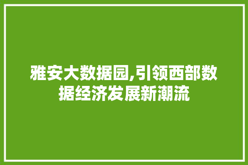 雅安大数据园,引领西部数据经济发展新潮流