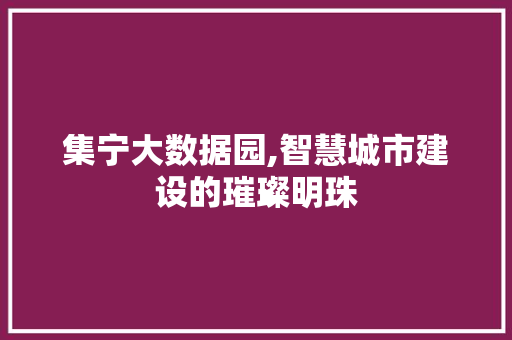 集宁大数据园,智慧城市建设的璀璨明珠