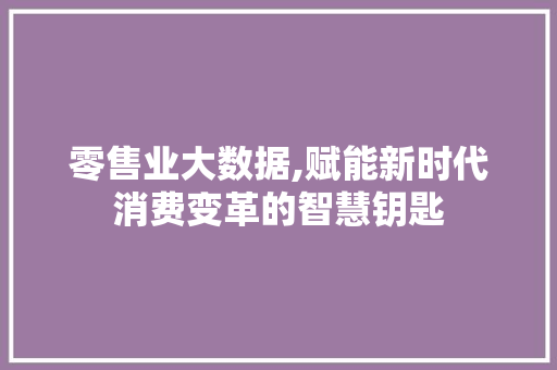 零售业大数据,赋能新时代消费变革的智慧钥匙