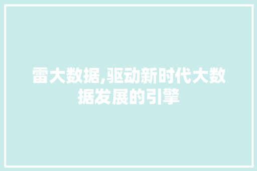 雷大数据,驱动新时代大数据发展的引擎