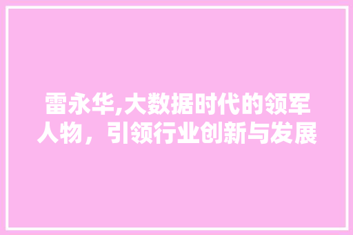 雷永华,大数据时代的领军人物，引领行业创新与发展