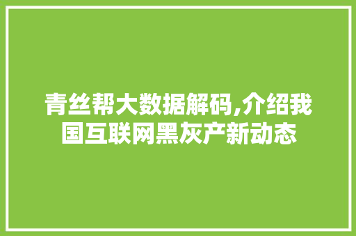 青丝帮大数据解码,介绍我国互联网黑灰产新动态