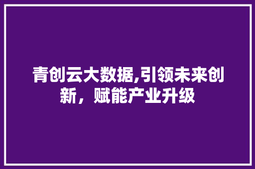 青创云大数据,引领未来创新，赋能产业升级 百度SEO