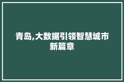 青岛,大数据引领智慧城市新篇章