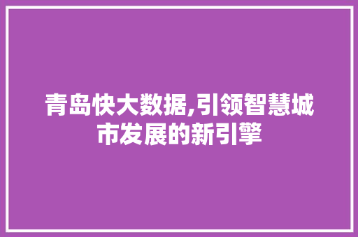 青岛快大数据,引领智慧城市发展的新引擎 神马SEO