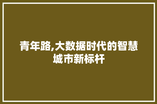 青年路,大数据时代的智慧城市新标杆