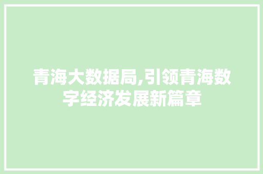 青海大数据局,引领青海数字经济发展新篇章