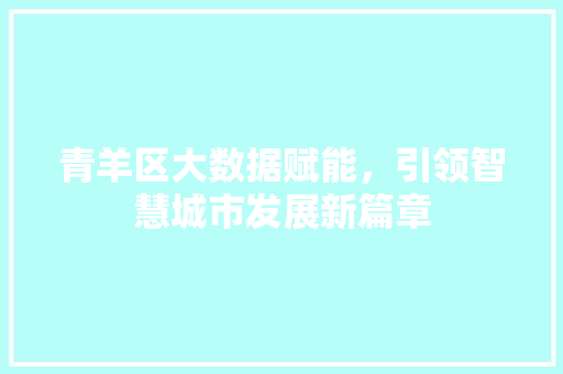 青羊区大数据赋能，引领智慧城市发展新篇章