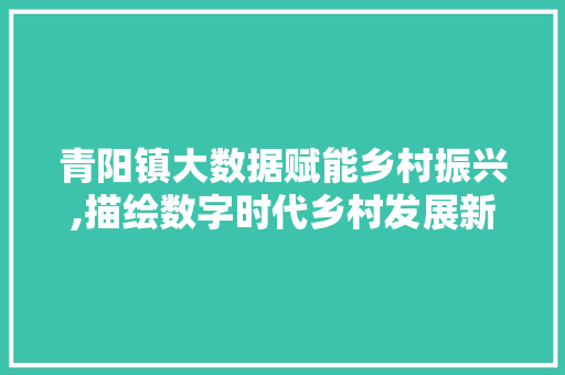 青阳镇大数据赋能乡村振兴,描绘数字时代乡村发展新画卷