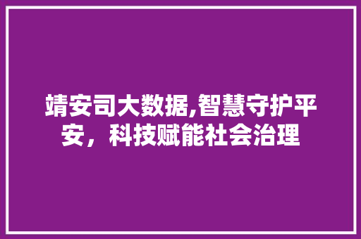 靖安司大数据,智慧守护平安，科技赋能社会治理