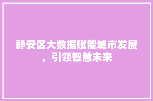 静安区大数据赋能城市发展，引领智慧未来