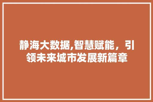 静海大数据,智慧赋能，引领未来城市发展新篇章
