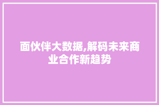 面伙伴大数据,解码未来商业合作新趋势