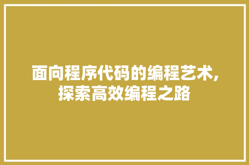 面向程序代码的编程艺术,探索高效编程之路