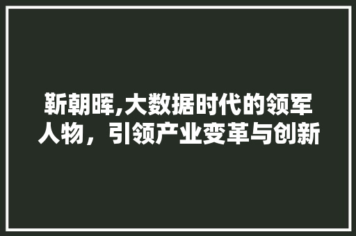 靳朝晖,大数据时代的领军人物，引领产业变革与创新