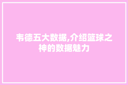 韦德五大数据,介绍篮球之神的数据魅力