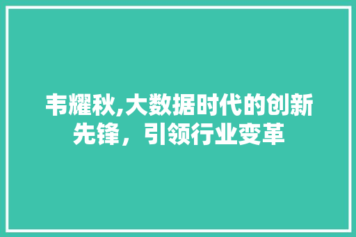 韦耀秋,大数据时代的创新先锋，引领行业变革