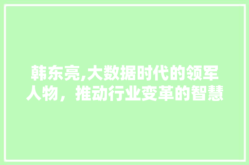 韩东亮,大数据时代的领军人物，推动行业变革的智慧舵手