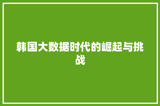 韩国大数据时代的崛起与挑战