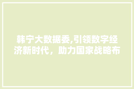 韩宁大数据委,引领数字经济新时代，助力国家战略布局