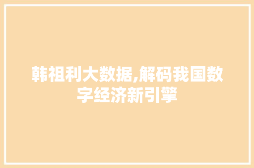 韩祖利大数据,解码我国数字经济新引擎