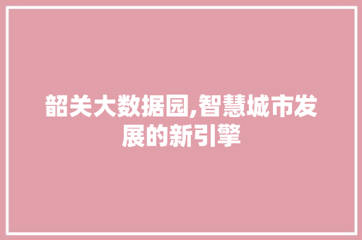 韶关大数据园,智慧城市发展的新引擎
