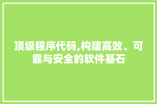 顶级程序代码,构建高效、可靠与安全的软件基石