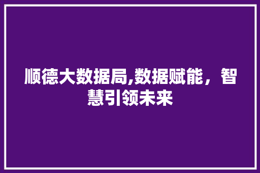 顺德大数据局,数据赋能，智慧引领未来