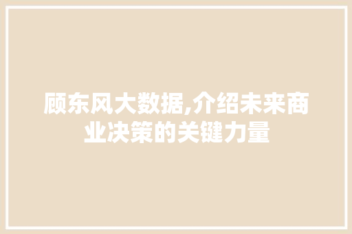 顾东风大数据,介绍未来商业决策的关键力量